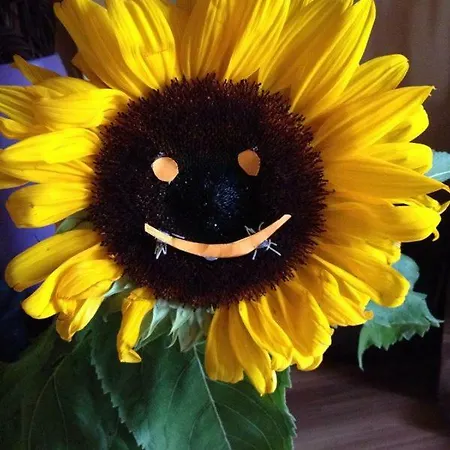 Ritter Appartamento *